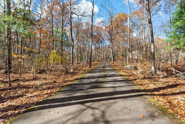 a view of backyard with wooden fence