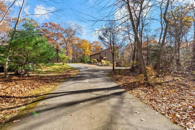 a view of yard with tree