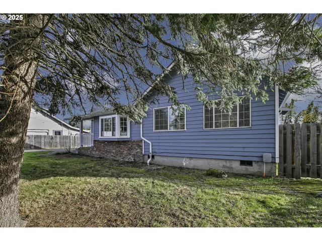 a view of a backyard with plants and large tree