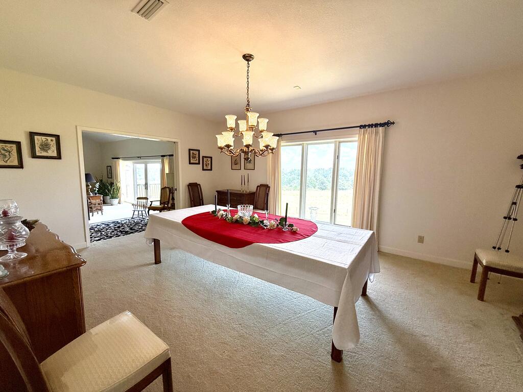 218 Chaney Branch Road Clio, AL 36017 - Photo 12 of 72 Gallery Image 12