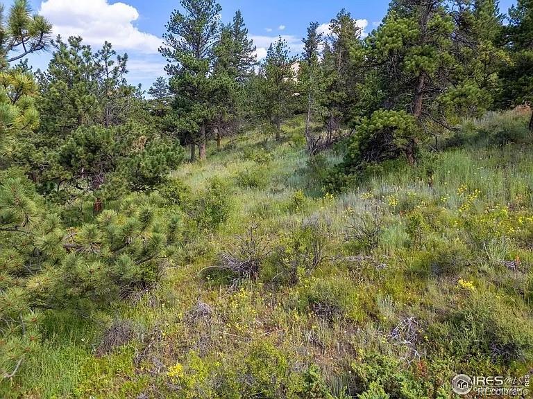 1445 Ridge Road Nederland, CO 80466 - Photo 12 of 20 Gallery Image 12