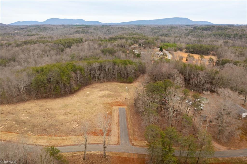 0 Dearmin Road Westfield, NC 27053 - Photo 18 of 33