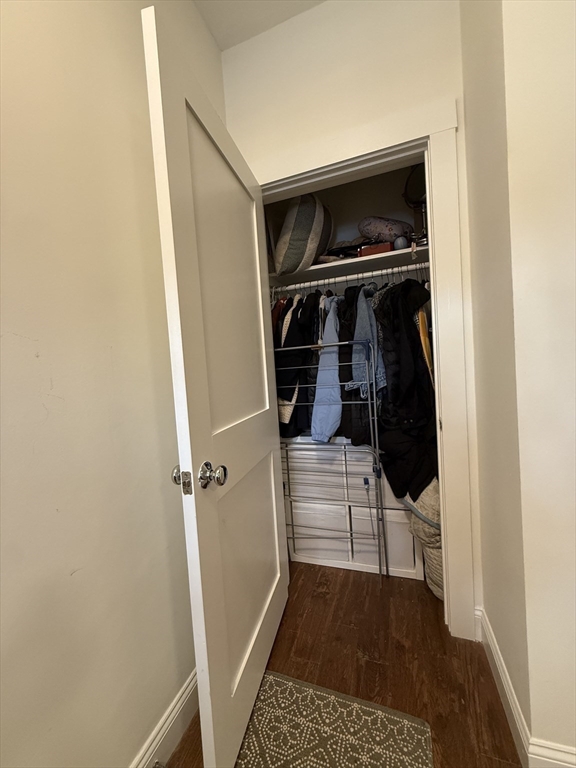 229 Charles Street, Unit 1 Cambridge, MA 02141 - Photo 3 of 19 a view of walk in closet