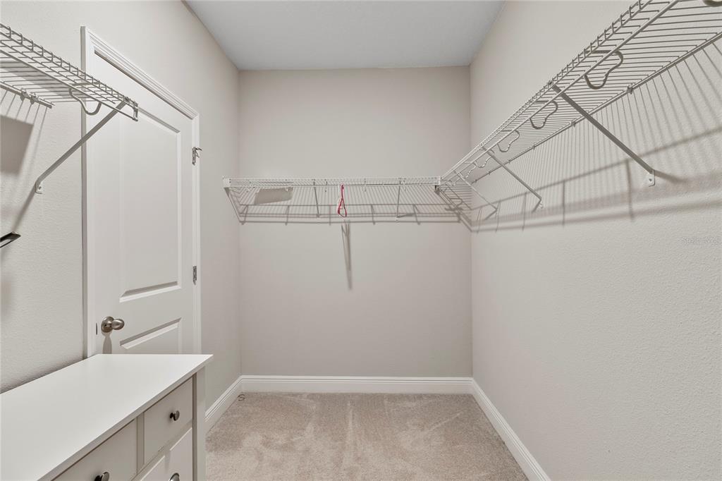 8764 Powder Ridge Trail Windermere, FL 34786 - Photo 26 of 44