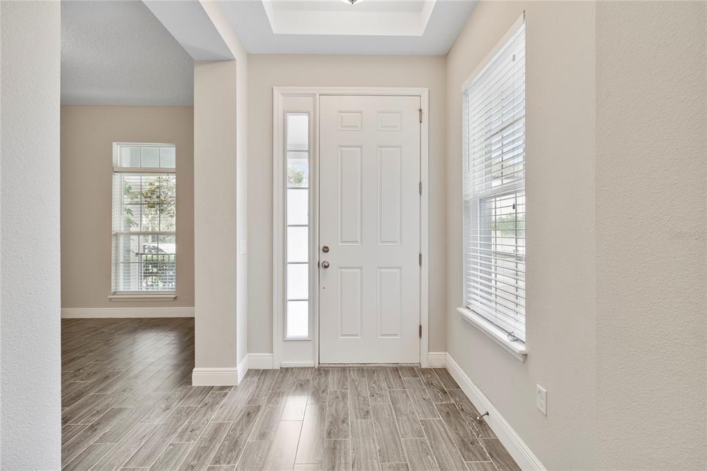 8764 Powder Ridge Trail Windermere, FL 34786 - Photo 4 of 44