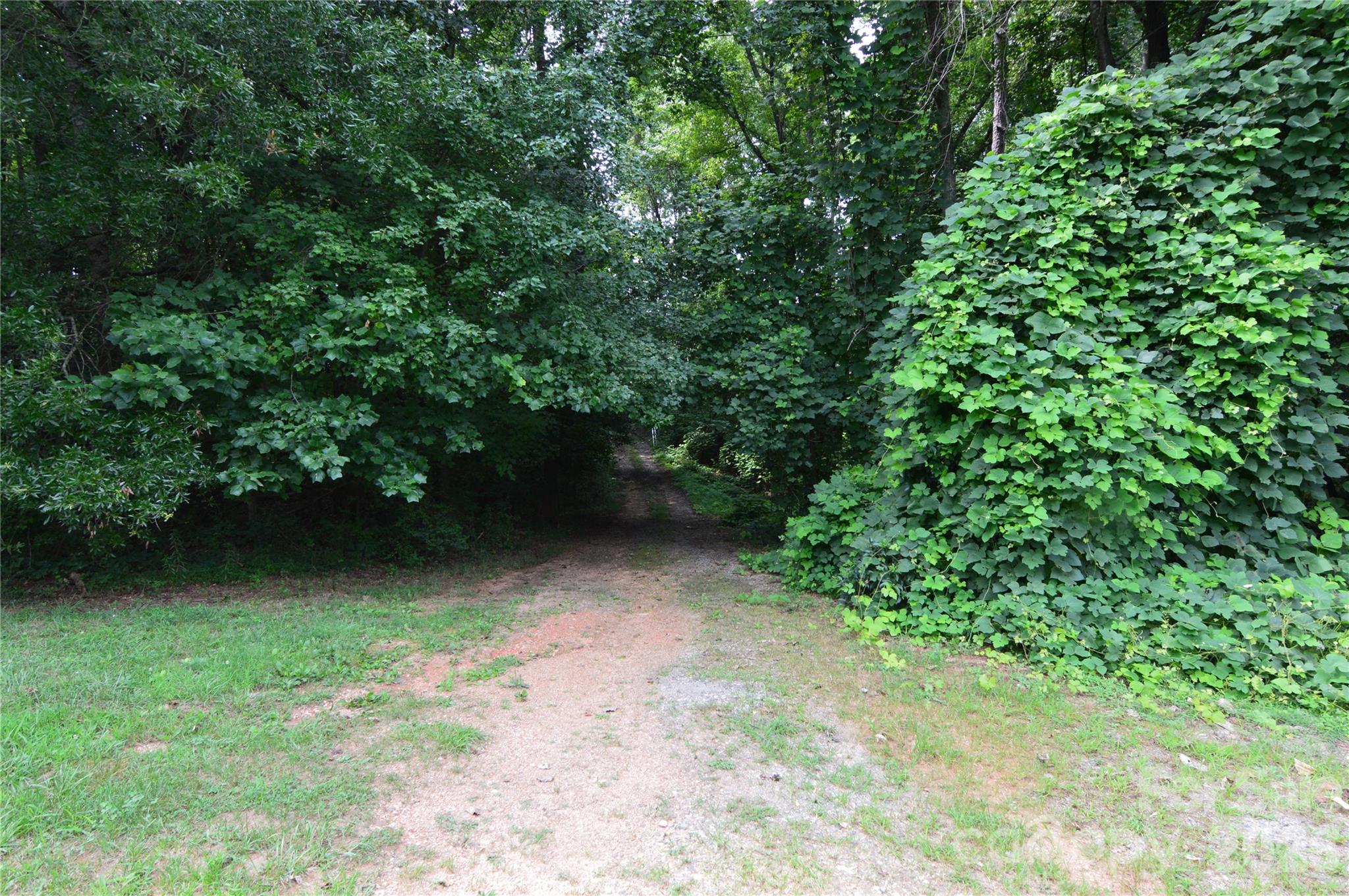 607 Anthony Grove Road Crouse, NC 28033 - Photo 43 of 48 Gallery Image 43