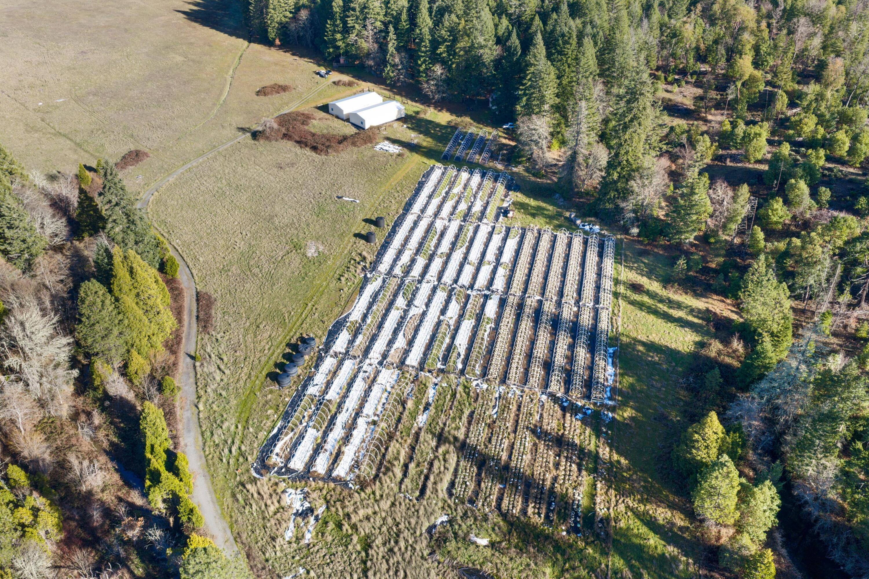 1491 Draper Valley Road Selma, OR 97538 - Photo 14 of 16 hoops