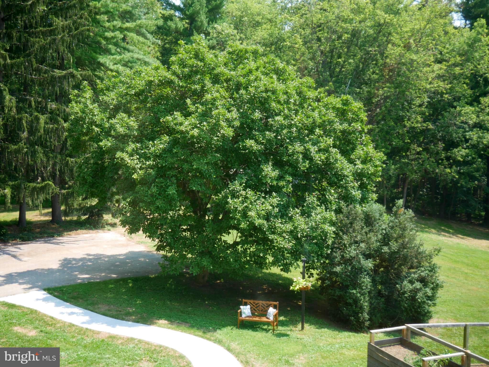 15335 Dover Road Reisterstown, MD 21136 - Photo 37 of 58 View from the primary bedroom
