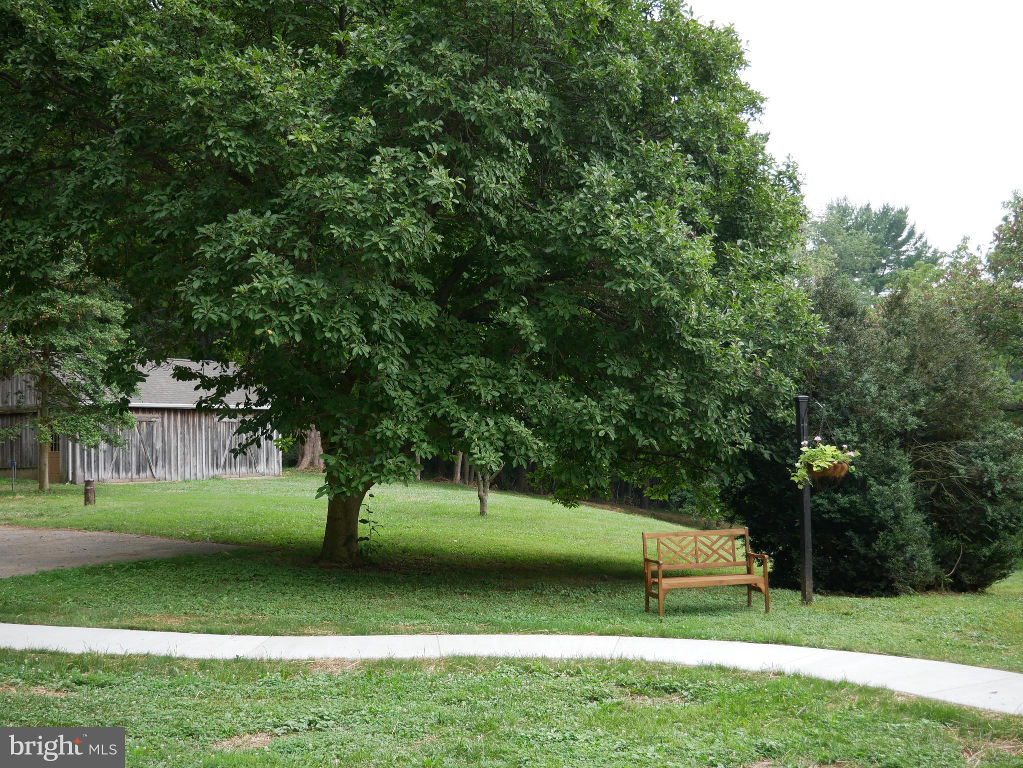 15335 Dover Road Reisterstown, MD 21136 - Photo 54 of 58 A really peaceful setting
