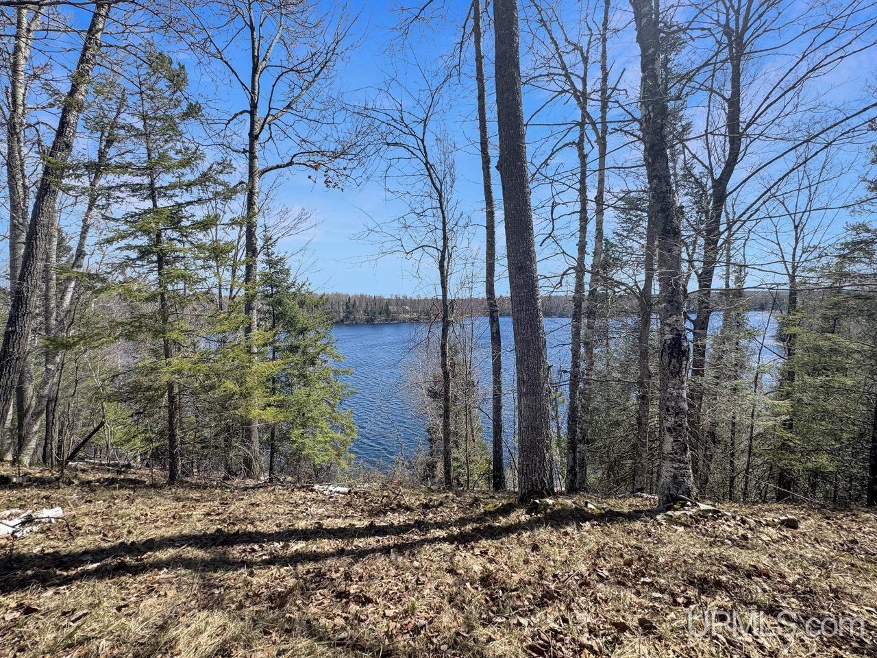 119 Maggie Lake Road Crystal Falls, MI 49920 - Photo 29 of 76