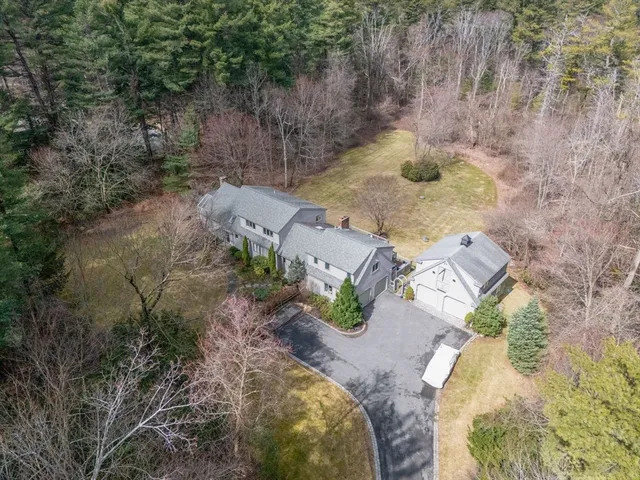 a view of a yard with plants