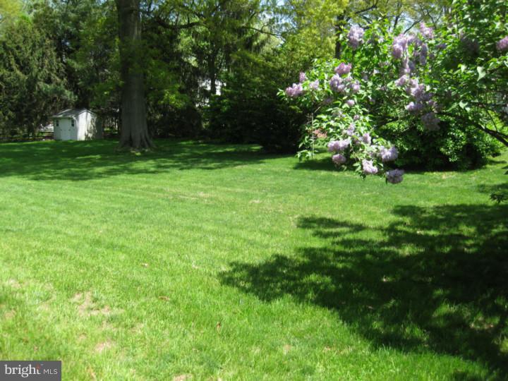 1319 State Road Phoenixville, PA 19460 - Photo 15 of 15 Back Yard