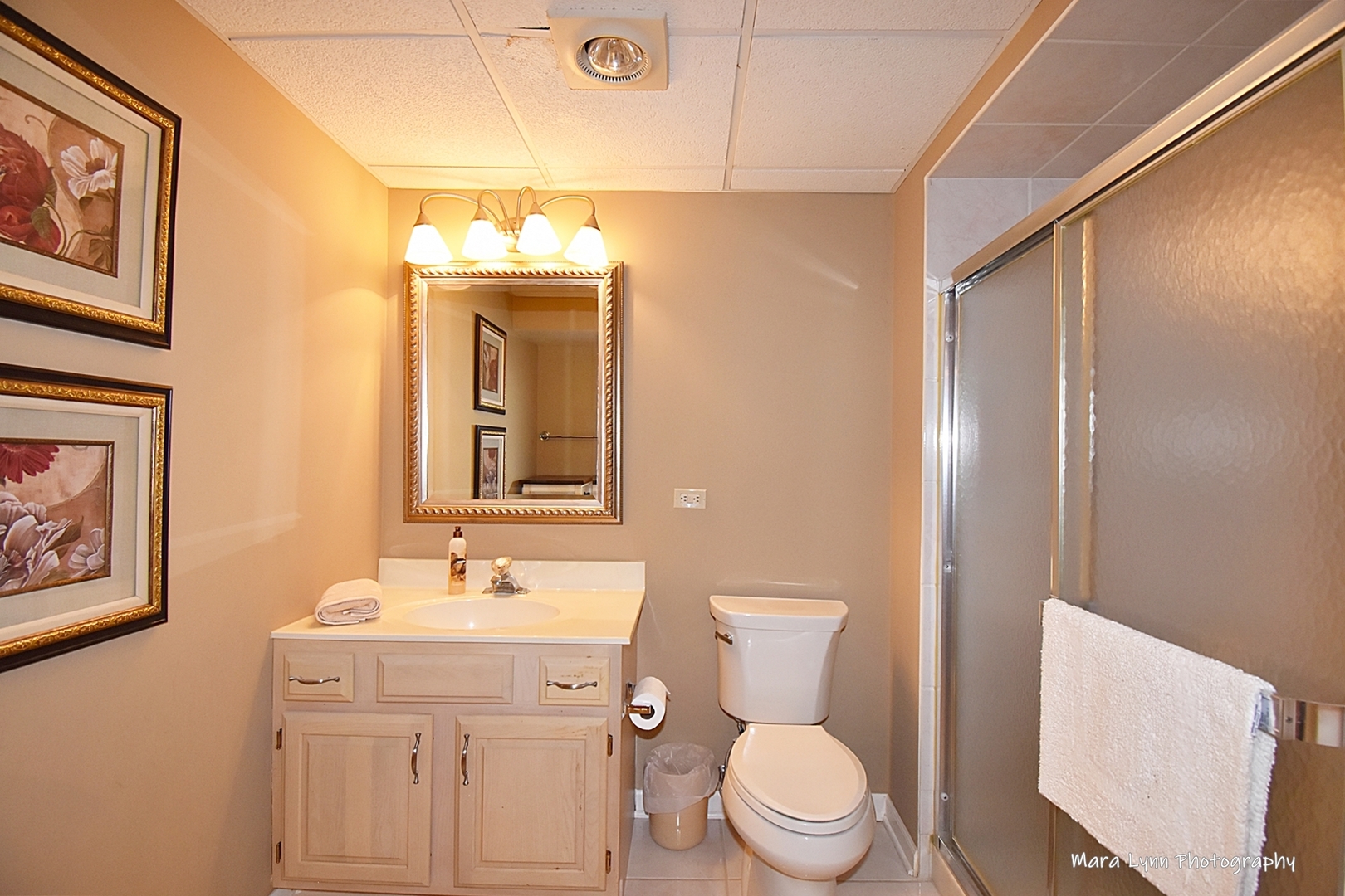 3107 Turnberry Road St. Charles, IL 60174 - Photo 37 of 55 Gallery Image 37
