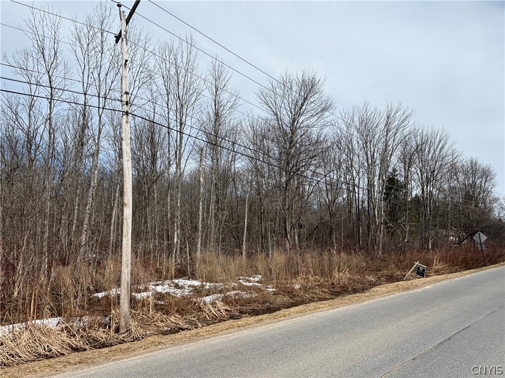 Honey Hill Road Fulton, NY 13069 - Photo 4 of 6