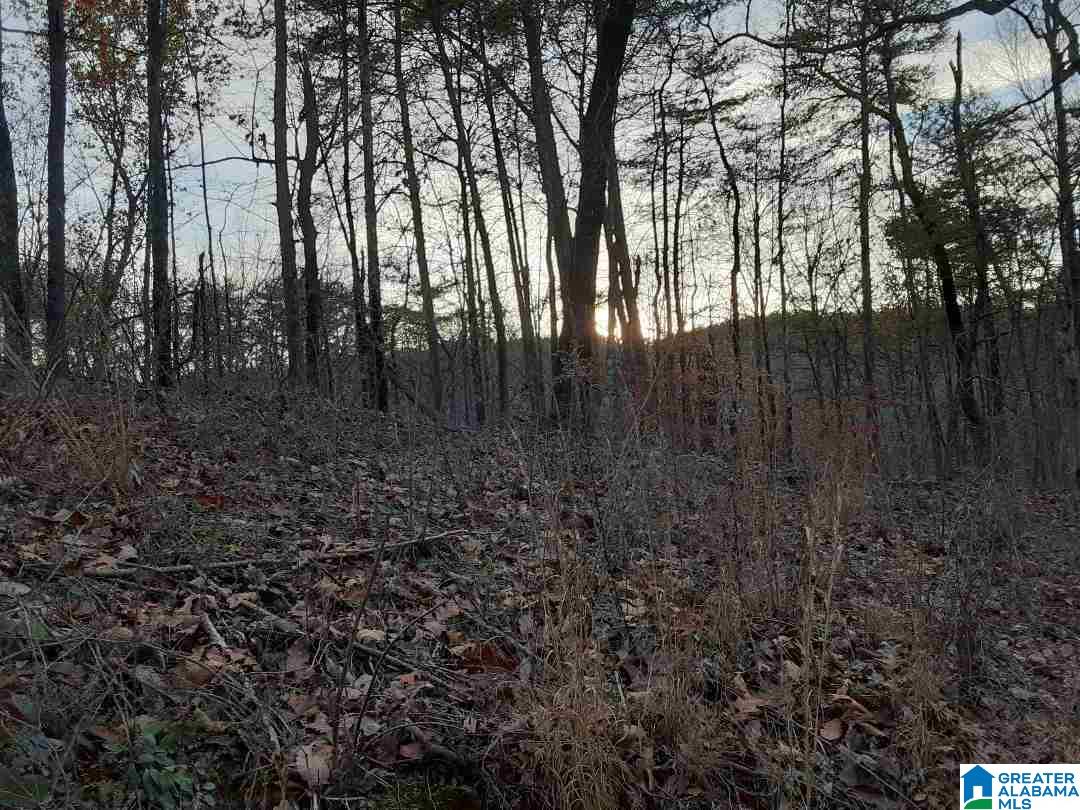 4191 Shady Grove Road, Unit 12002 Fultondale, AL 35068 - Photo 1 of 1