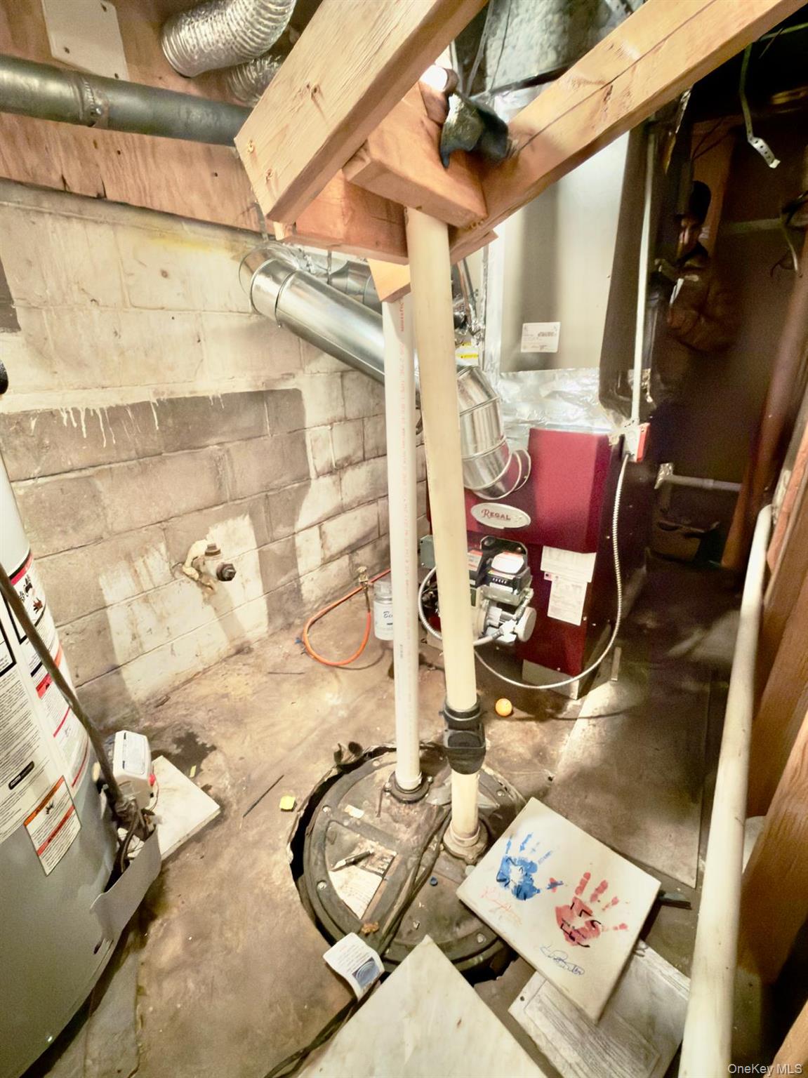 314 River Road Shirley, NY 11967 - Photo 36 of 41