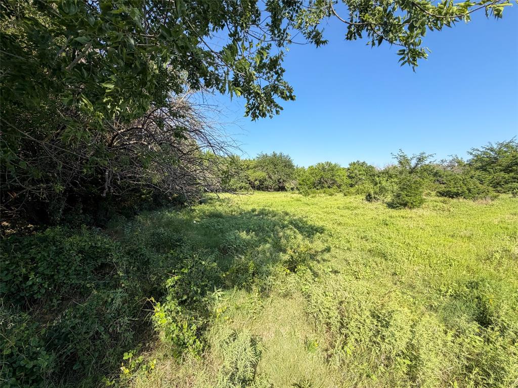 Tbd Carminati Road Montague, TX 76251 - Photo 25 of 32