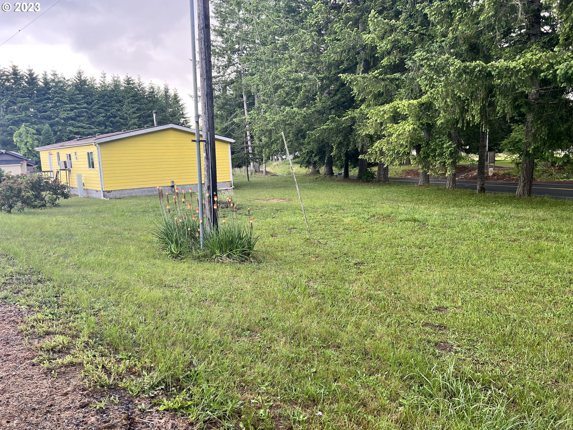 1236 South Toutle Road Toutle, WA 98649 - Photo 3 of 39 a view of a outdoor space