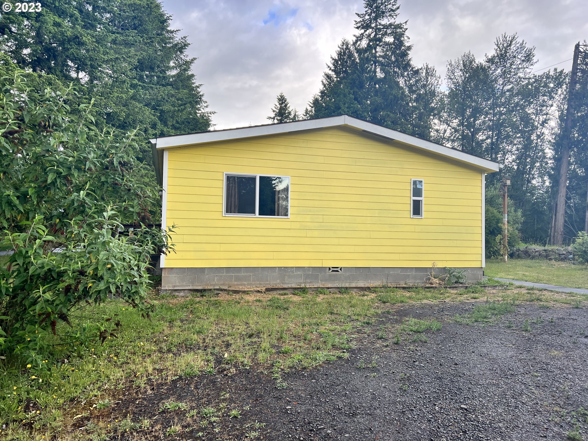 1236 South Toutle Road Toutle, WA 98649 - Photo 5 of 39 a view of a backyard with large trees