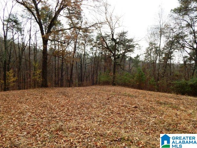 351 Beasley Road Gardendale, AL 35071 - Photo 2 of 6