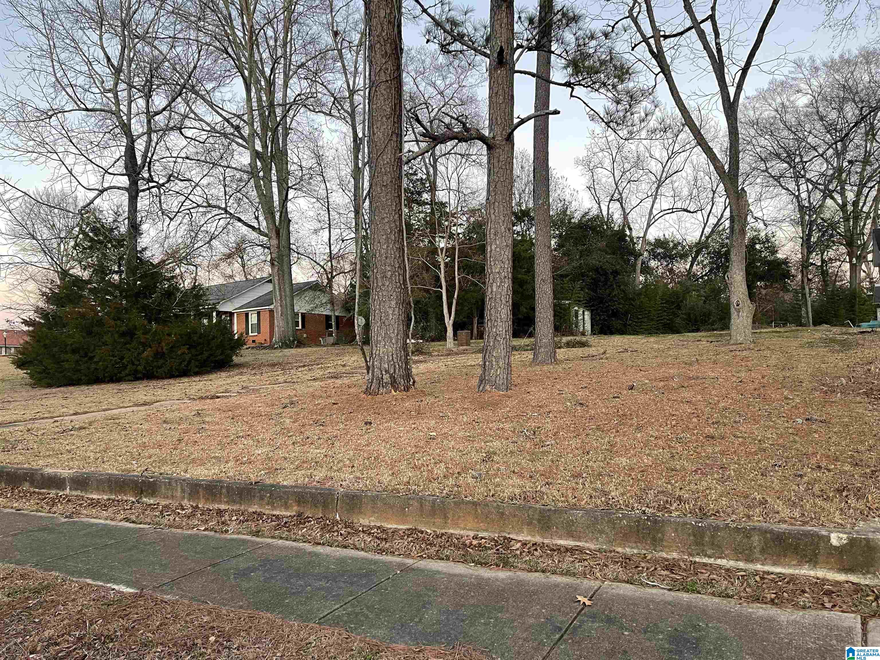 309 North Main Street, Unit 5354 Linden, AL 36748 - Photo 1 of 1