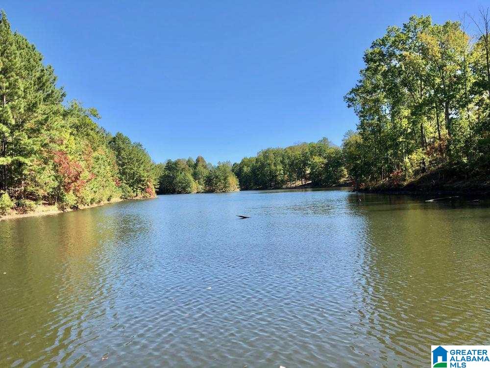 181 Ridgeline Drive, Unit RIDGELINE LAKE TRACT Chelsea, AL 35043 - Photo 5 of 7