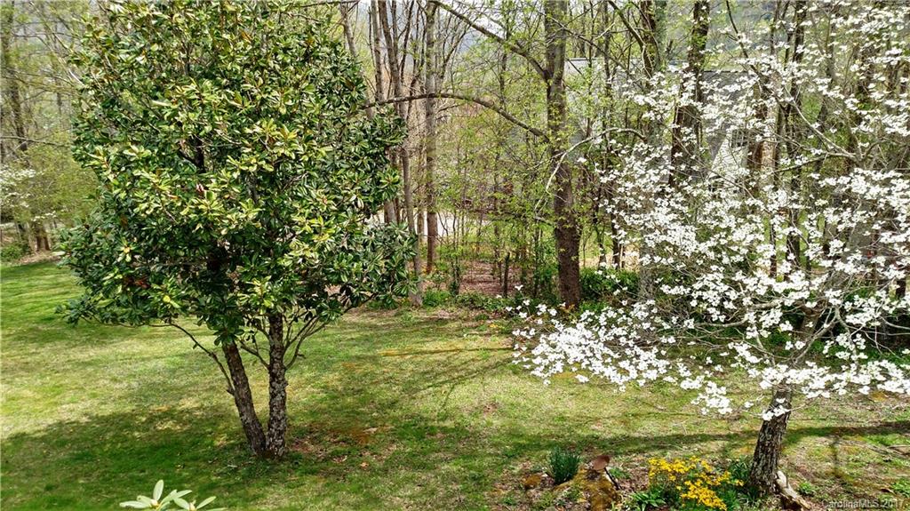444 Stoney Ridge Loop, Unit 50 Maggie Valley, NC 28751 - Photo 14 of 19 a view of a yard with plants and large trees