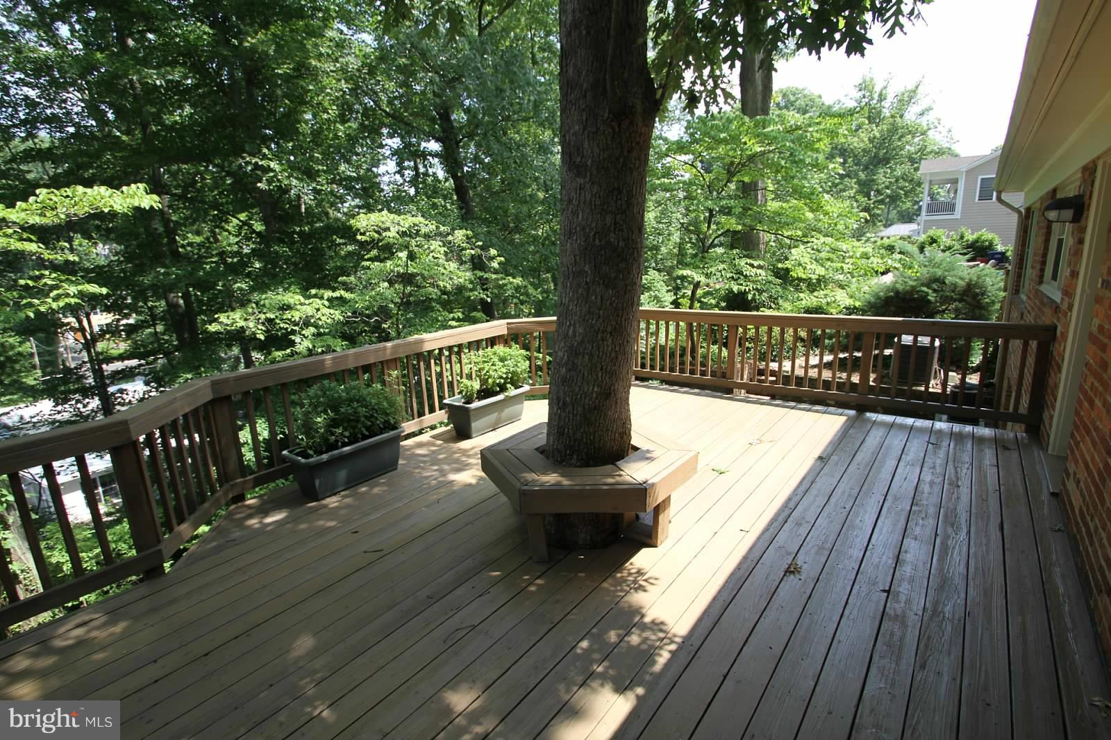 6211 Arkendale Road Alexandria, VA 22307 - Photo 2 of 16 Exterior (Rear)