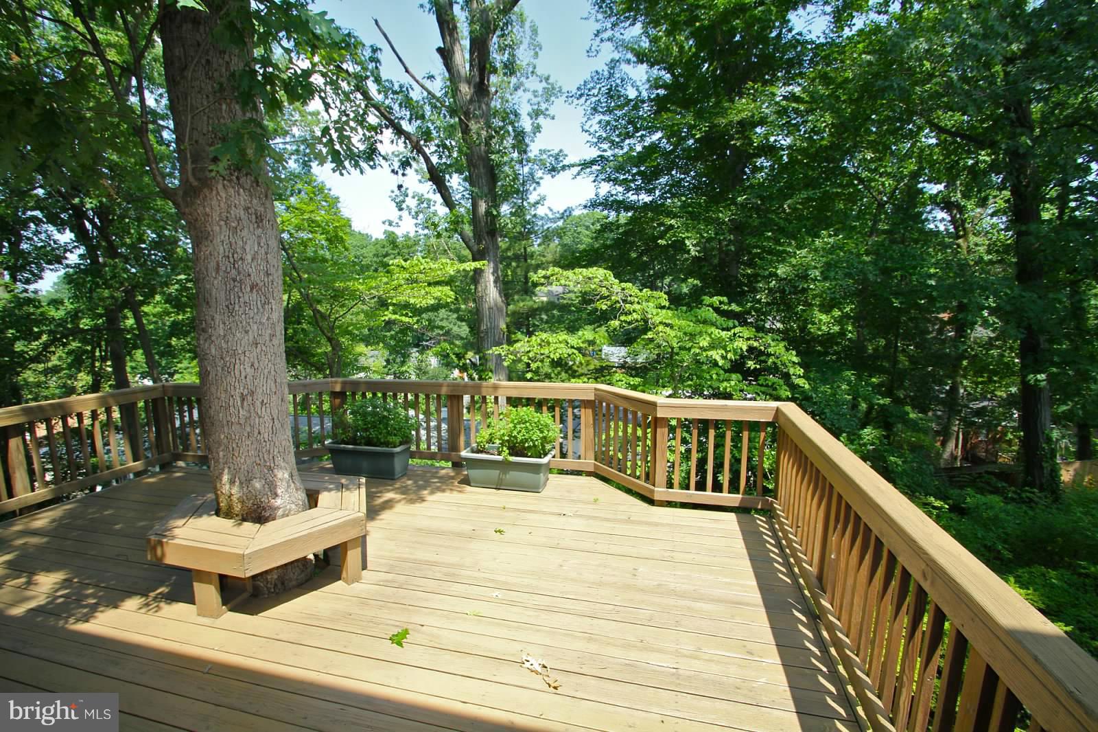 6211 Arkendale Road Alexandria, VA 22307 - Photo 3 of 16 Exterior (Rear)