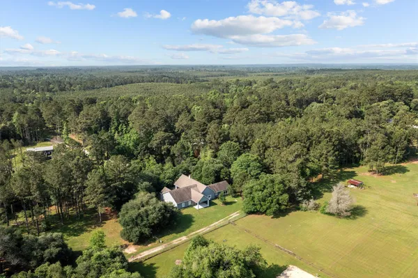 a view of a bunch of trees and houses