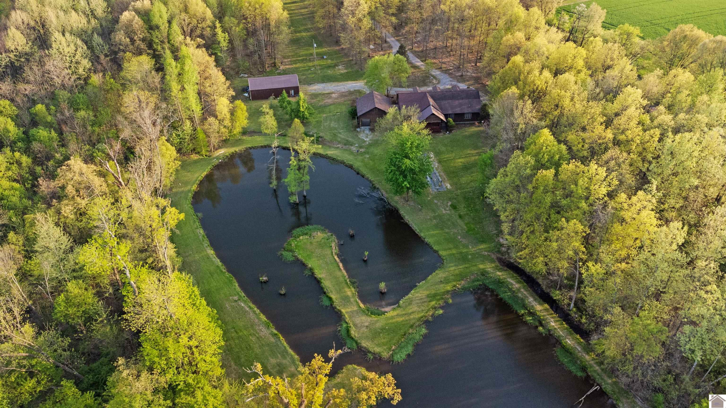 1710 State Highway 1125 South Fulton, KY 42041 - Photo 46 of 50 Photo 46