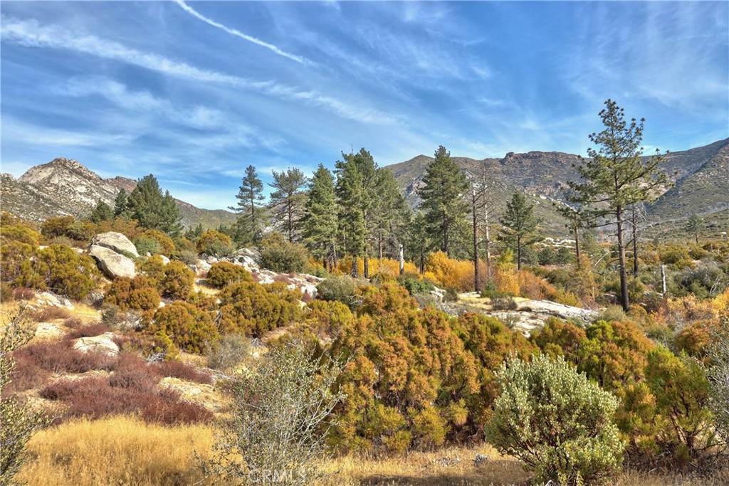 58111 Bonita Vista Road Mountain Center, CA 92561 - Photo 4 of 75 Gorgeous Topography!