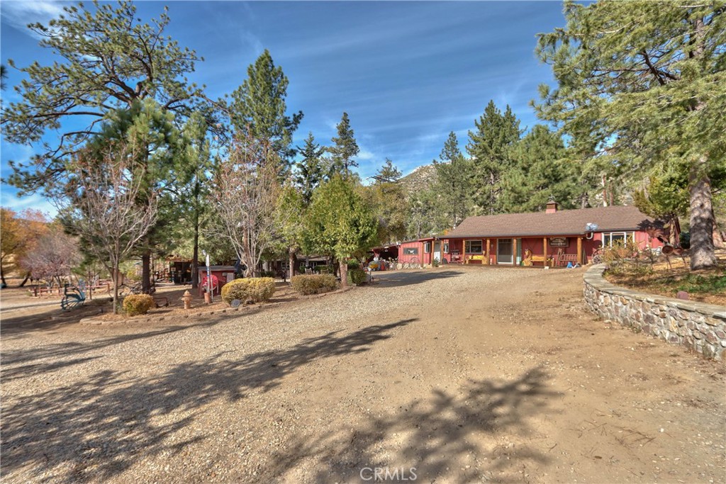 58111 Bonita Vista Road Mountain Center, CA 92561 - Photo 41 of 75 a view of a town with large trees