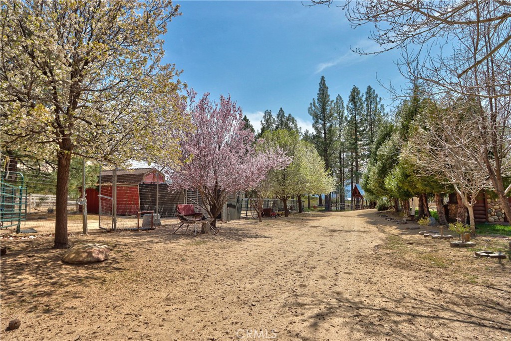 58111 Bonita Vista Road Mountain Center, CA 92561 - Photo 57 of 75 a backyard of a house with large trees and outdoor seating
