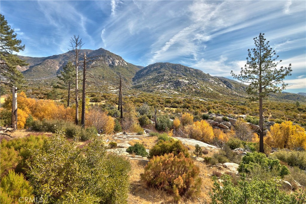58111 Bonita Vista Road Mountain Center, CA 92561 - Photo 58 of 75