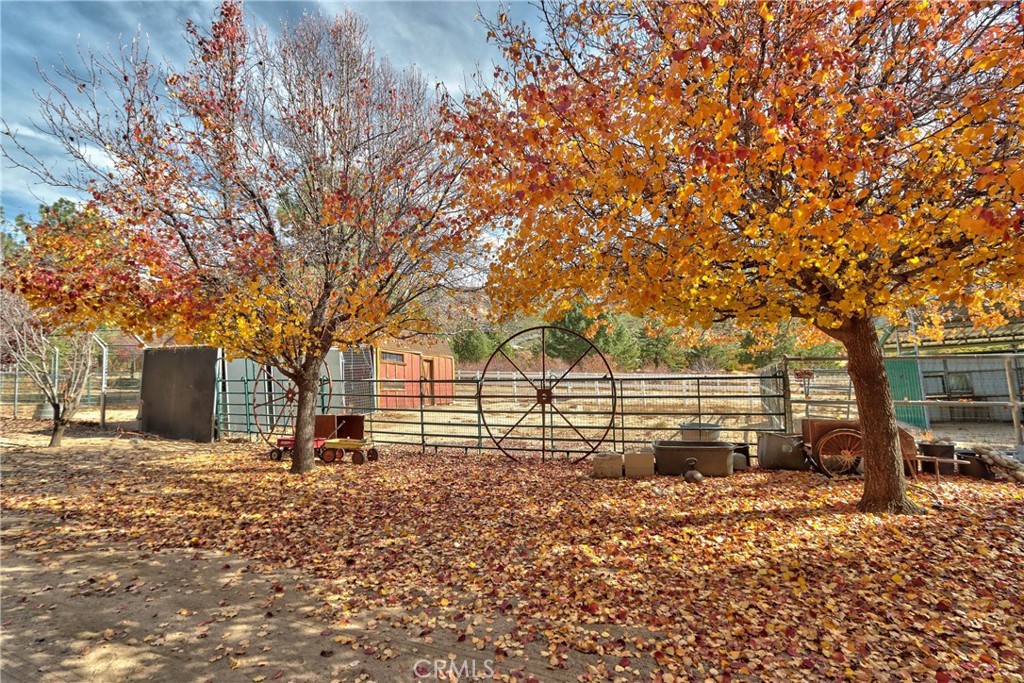 58111 Bonita Vista Road Mountain Center, CA 92561 - Photo 59 of 75 a backyard of a house with lots of green space