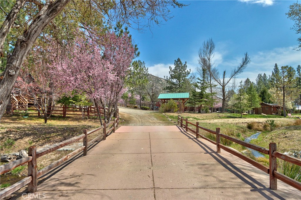 58111 Bonita Vista Road Mountain Center, CA 92561 - Photo 6 of 75 a view of a yard with an trees