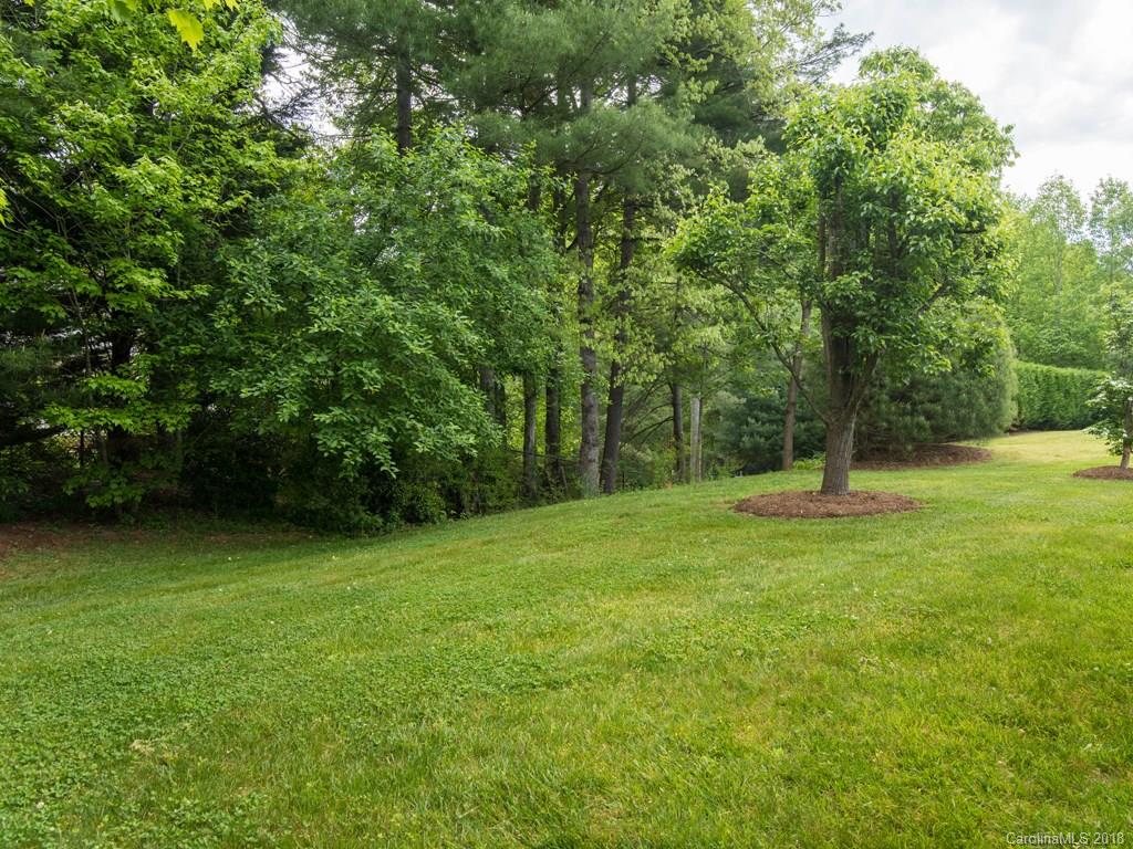 232 Stonehollow Road Fletcher, NC 28732 - Photo 29 of 35 a view of a grassy field with trees in the background