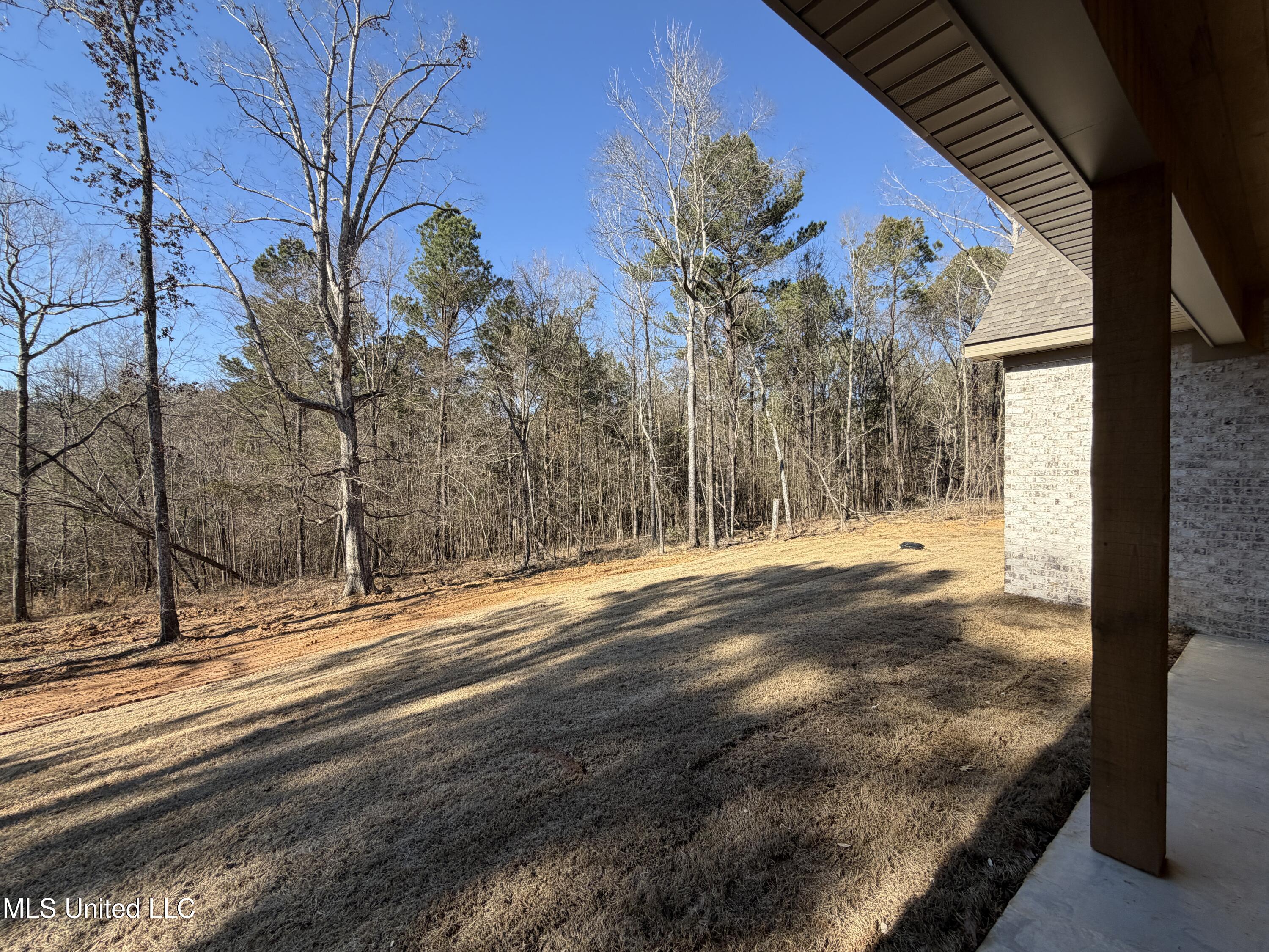 922 Mullican Road Florence, MS 39073 - Photo 49 of 54 IMG_3523(2)