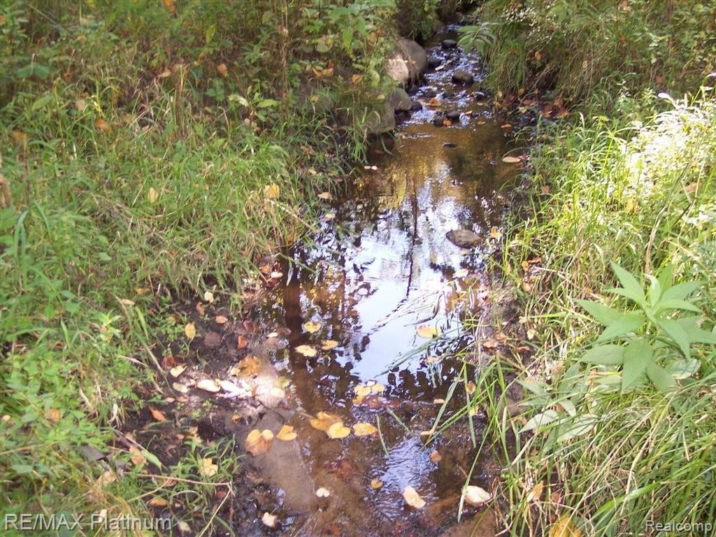 4107 Center Road Linden, MI 48451 - Photo 24 of 40 ARTESIAN SPRING.JPG