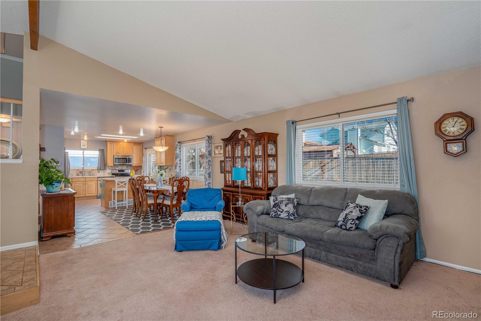 9160 Rimrock Court Highlands Ranch, CO 80126 - Photo 8 of 30 Gallery Image 8