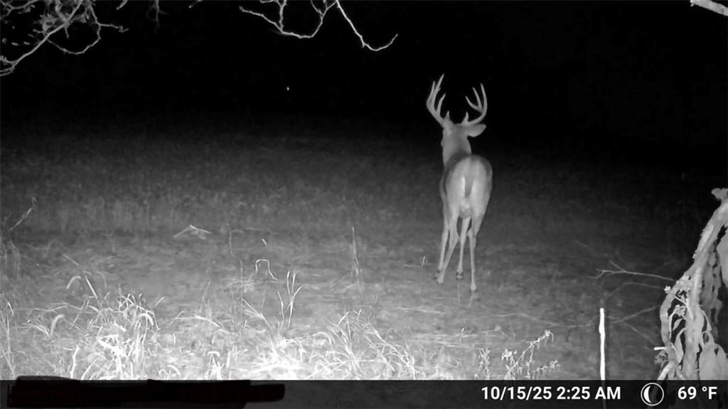 0 Southeast Virginia Road Kincaid, KS 66039 - Photo 11 of 99