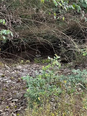 $1,750,000 | 0 Southeast Virginia Road, Kincaid, KS 66039