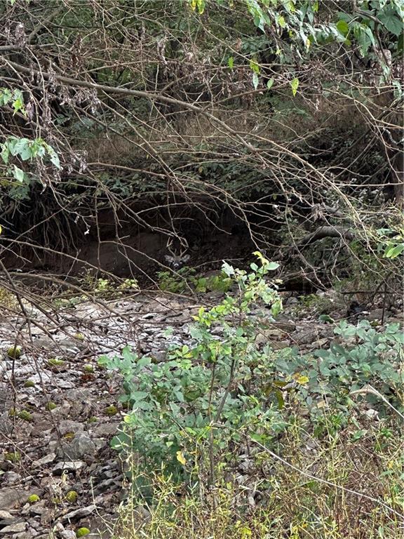 0 Southeast Virginia Road Kincaid, KS 66039 - Photo 12 of 99