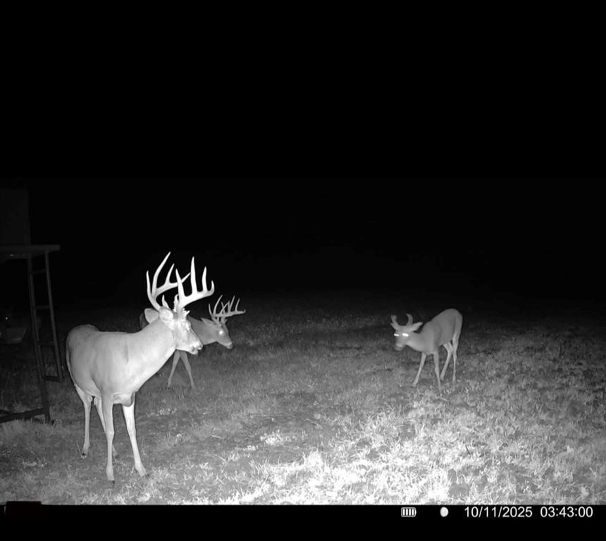 0 Southeast Virginia Road Kincaid, KS 66039 - Photo 13 of 99