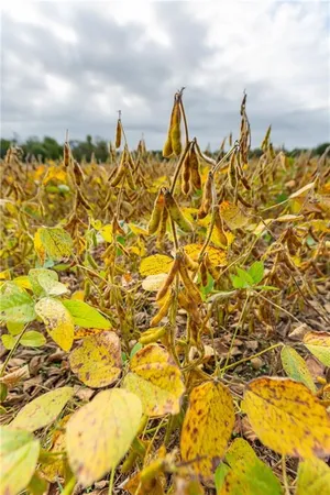 $1,750,000 | 0 Southeast Virginia Road, Kincaid, KS 66039