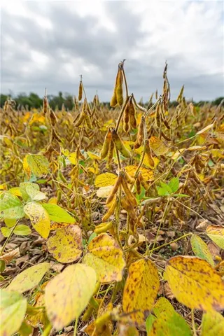 $1,874,100 | 0 Southeast Virginia Road, Kincaid, KS 66039