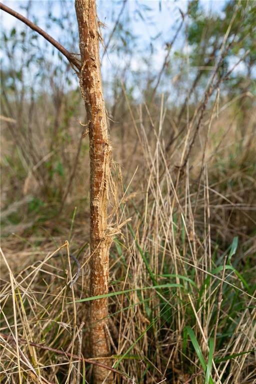 0 Southeast Virginia Road Kincaid, KS 66039 - Photo 30 of 99