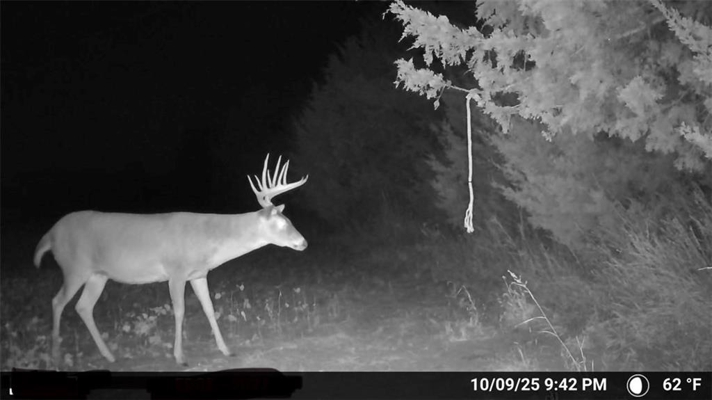 0 Southeast Virginia Road Kincaid, KS 66039 - Photo 4 of 99