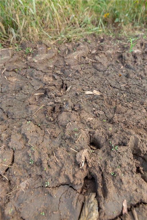 0 Southeast Virginia Road Kincaid, KS 66039 - Photo 46 of 99